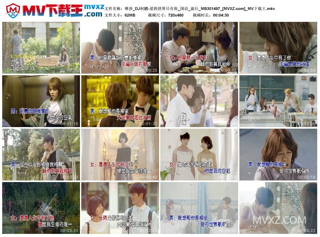 唯莎_DJ何鹏-爱的世界只有你_国语_流行_MB301497